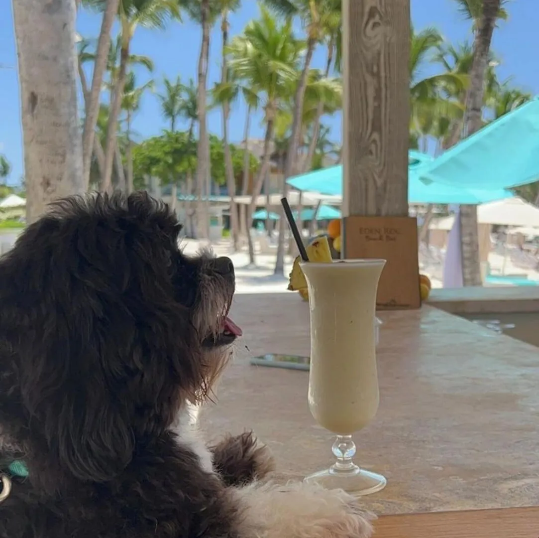 Eden Roc Cap Cana Punta Cana 5*,  Dominican Republic